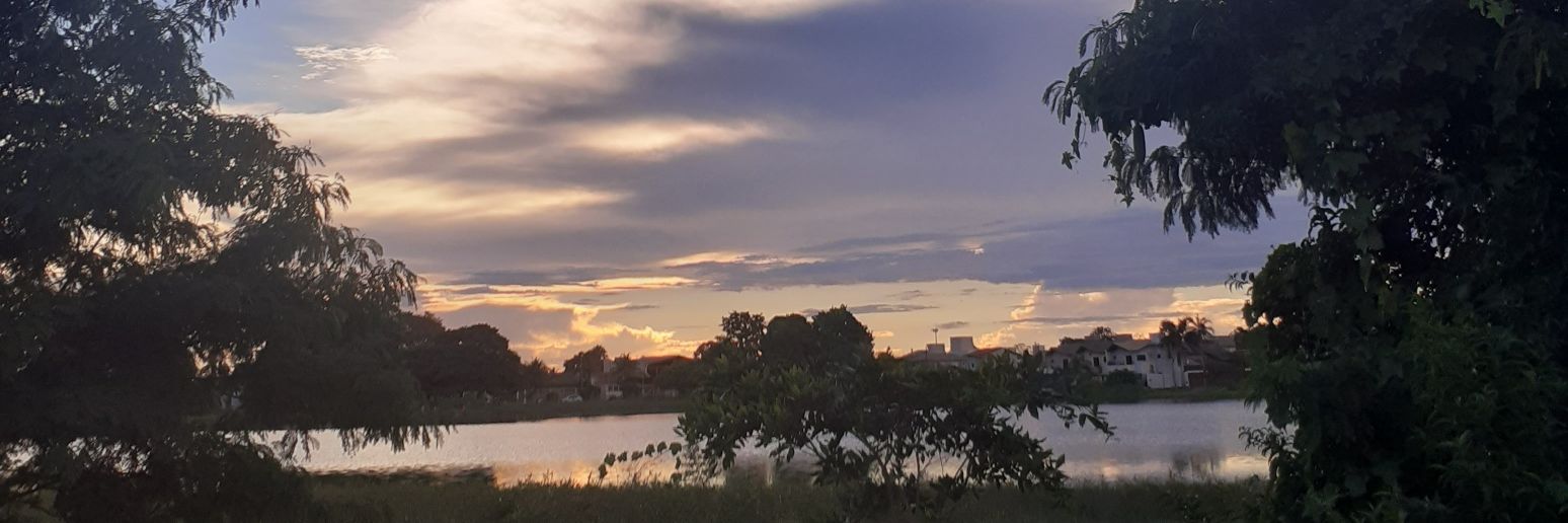 ImYzadora's profile banner image