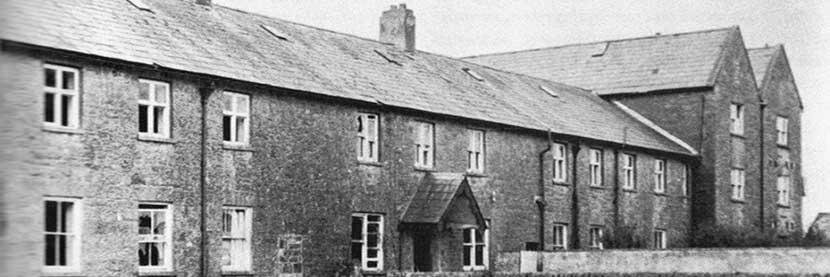 tuambabies's profile banner image