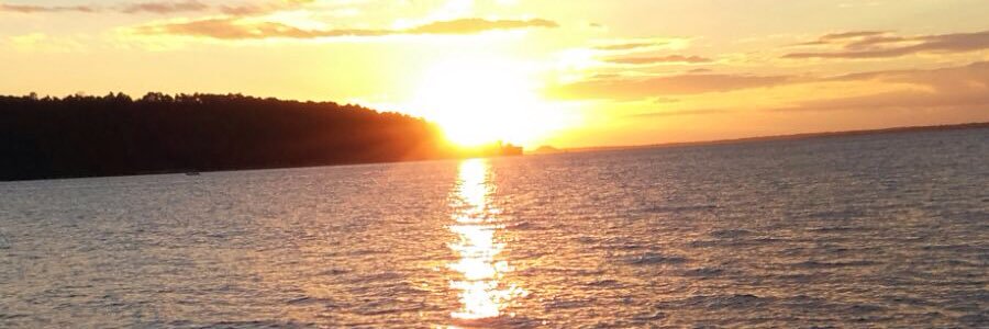 selooo banner