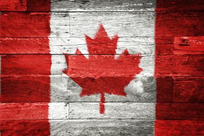Alli Bearinger 🇨🇦 banner