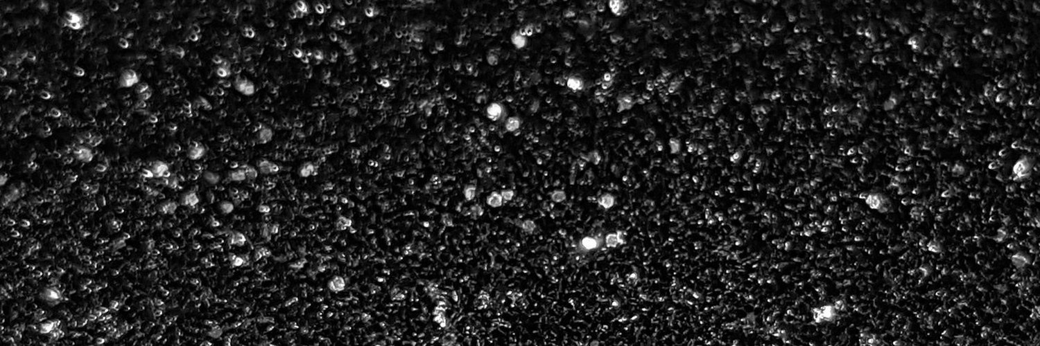halleyhiatt's profile banner image