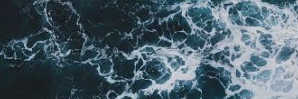 wasabigibi's profile banner image