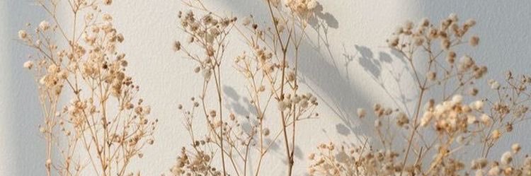 k16nne's profile banner image