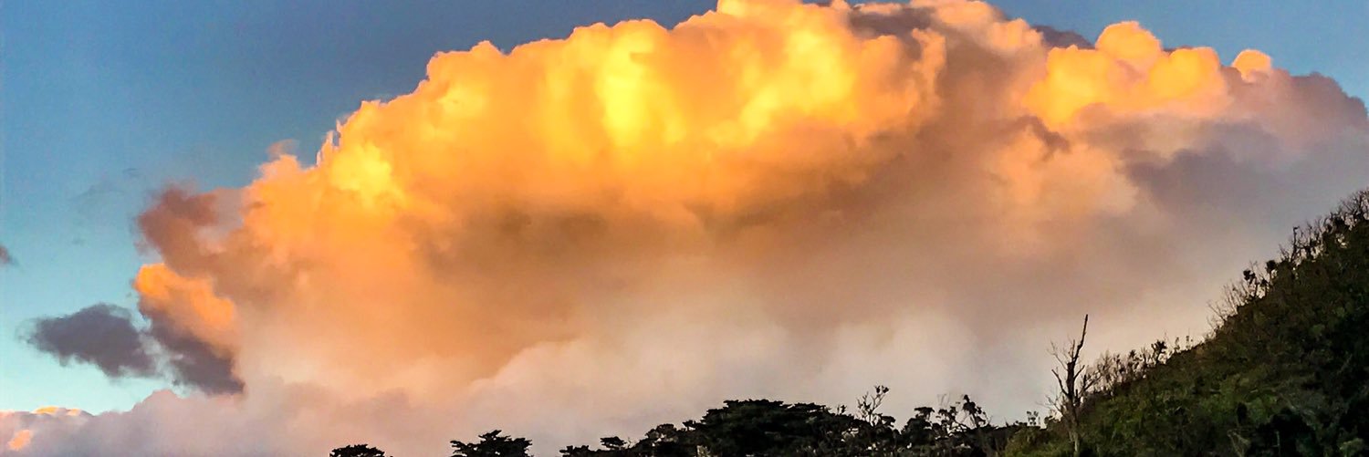 blattathong's profile banner image