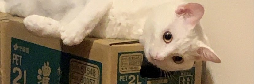 kawkmi's profile banner image