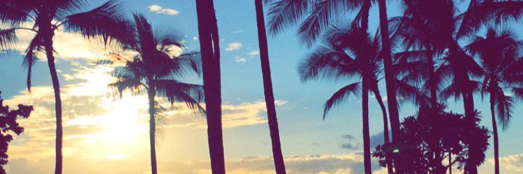 sunset644's profile banner image