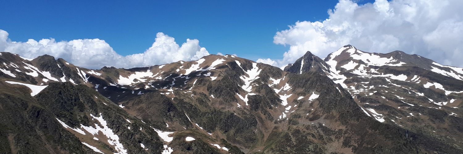 SaorteSort's profile banner image