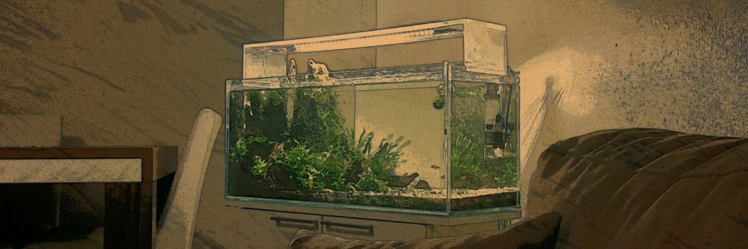 sametmery's profile banner image