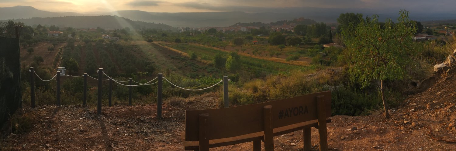 José Vicente Anaya banner