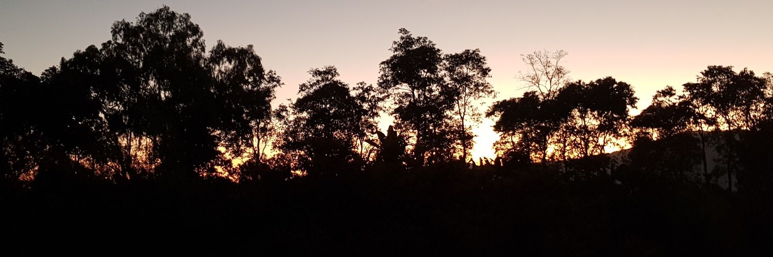 Victor H. Piedrahita banner