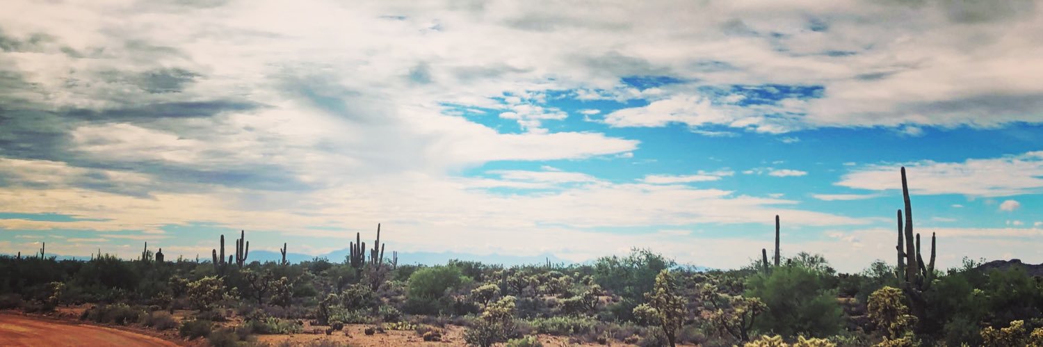 scott_t_bee's profile banner image