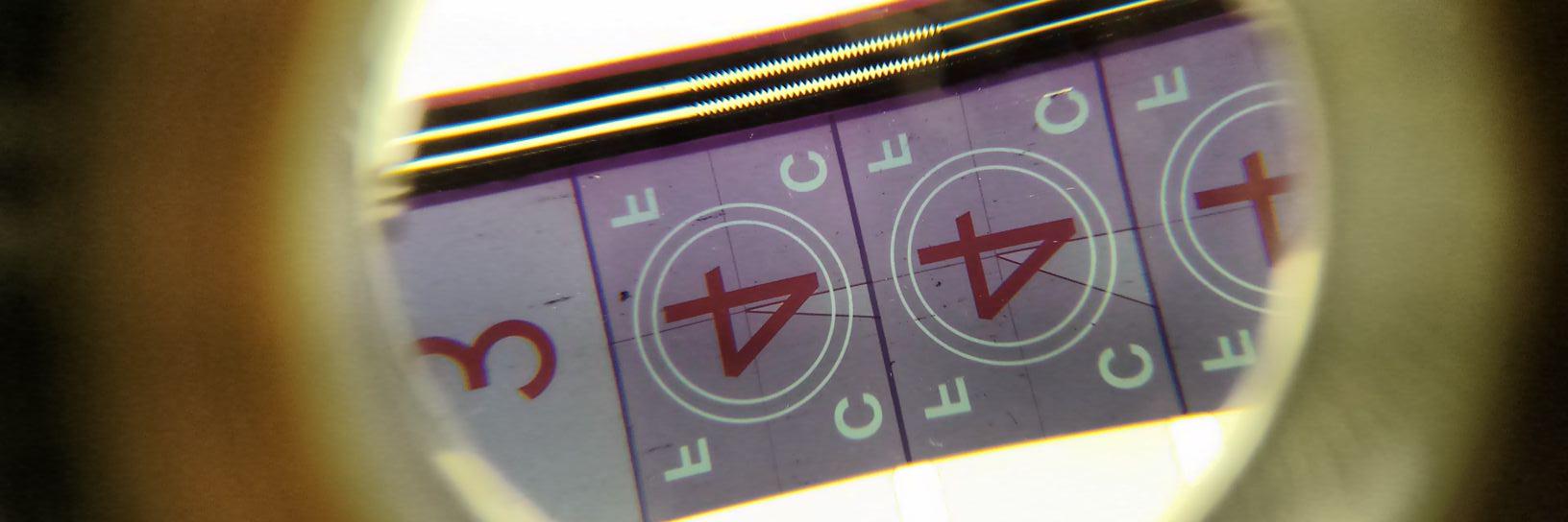 Elspeth Jordan banner