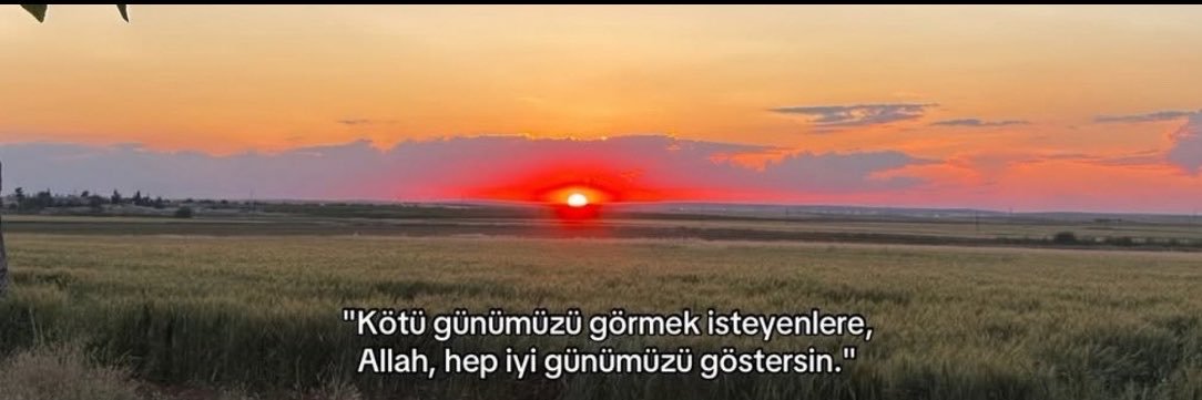 zeyneps26's profile banner image
