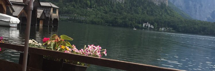 aisha_ln's profile banner image