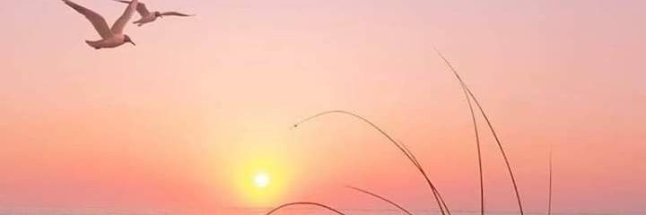 Rohansri0672's profile banner image