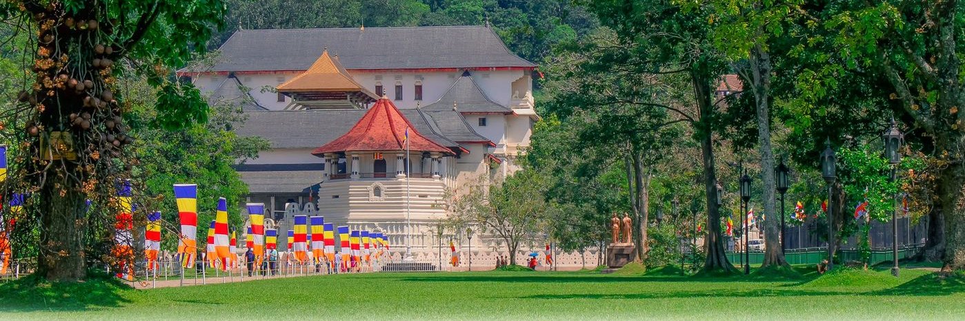 SriDalada's profile banner image