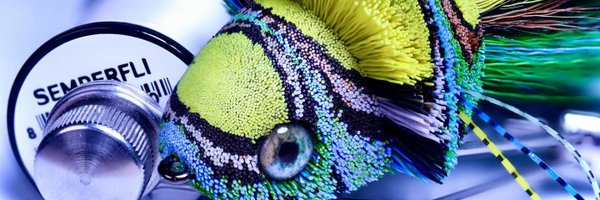 semperfli Profile Banner