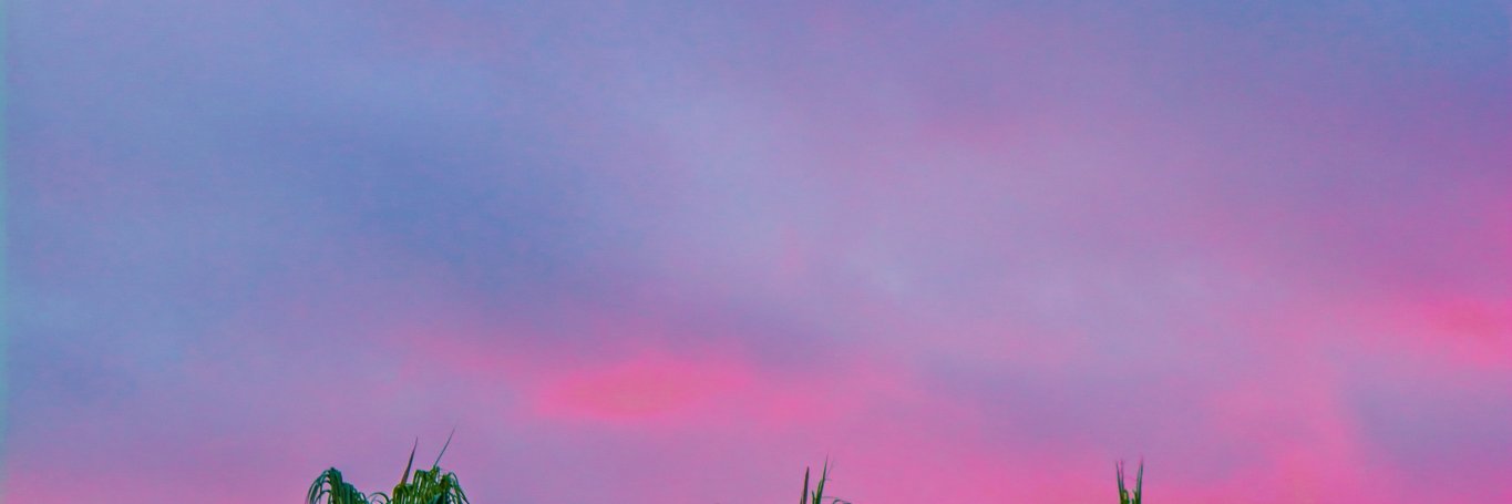 brotherjulsT's profile banner image