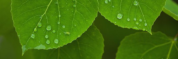 AspenPsychology Profile Banner