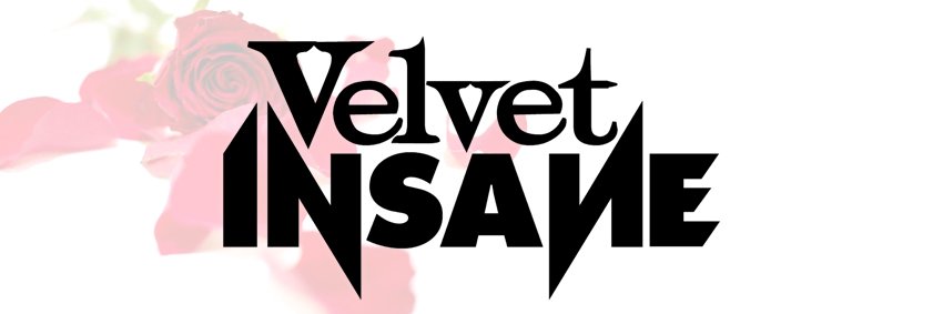 velvetinsane's profile banner image