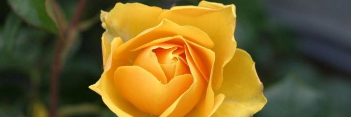 AElango729's profile banner image
