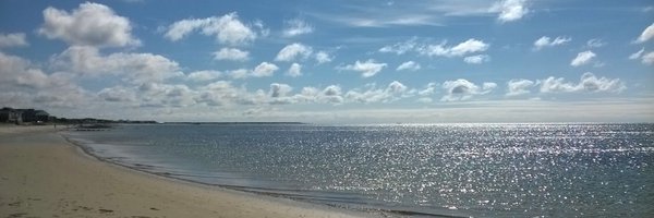 Eonlemon Profile Banner