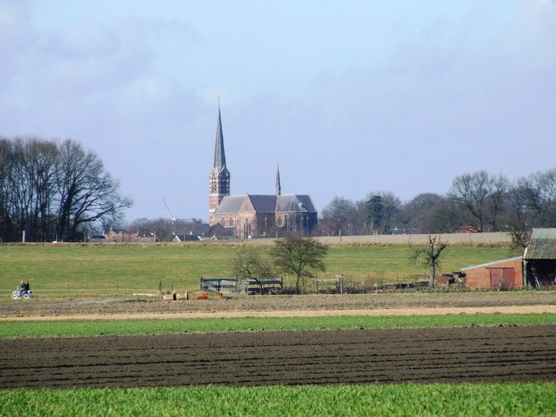 Luc de Vos banner