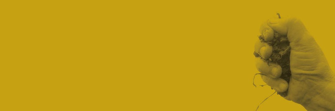 L'Arada Creativitat Social banner