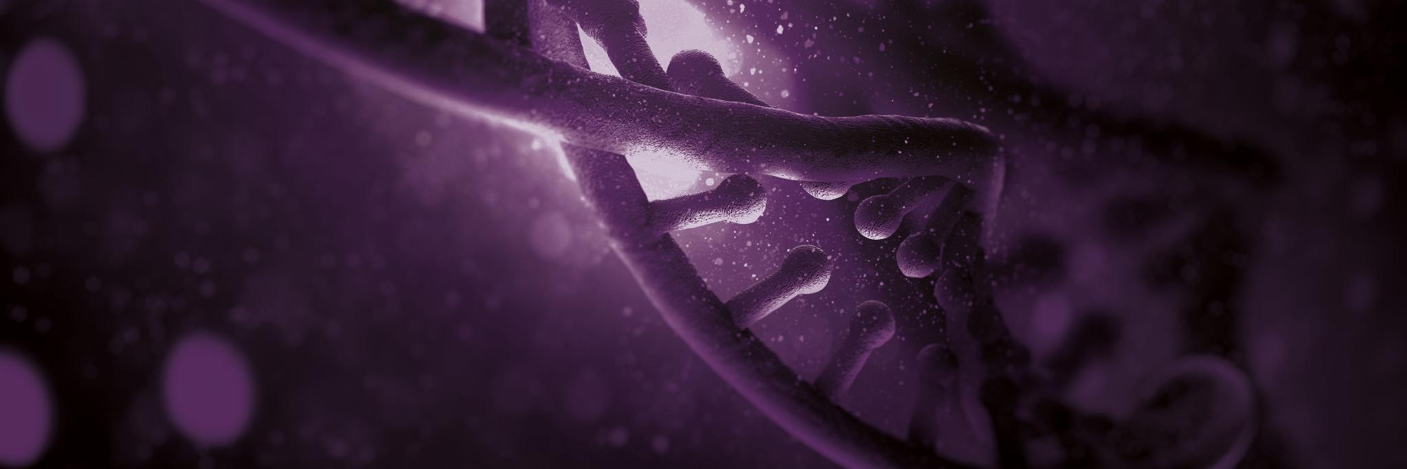 New Scientist Jobs banner