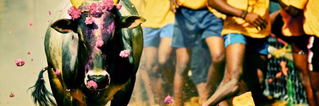 karanprabakaran's profile banner image