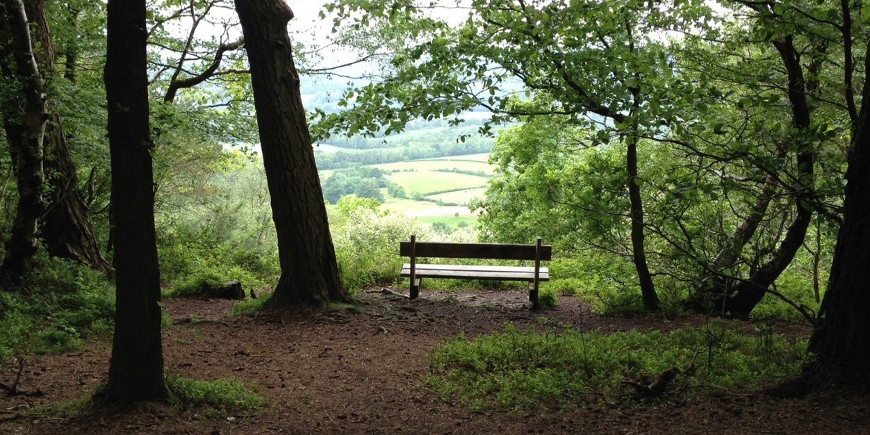 hellosurrey's profile banner image