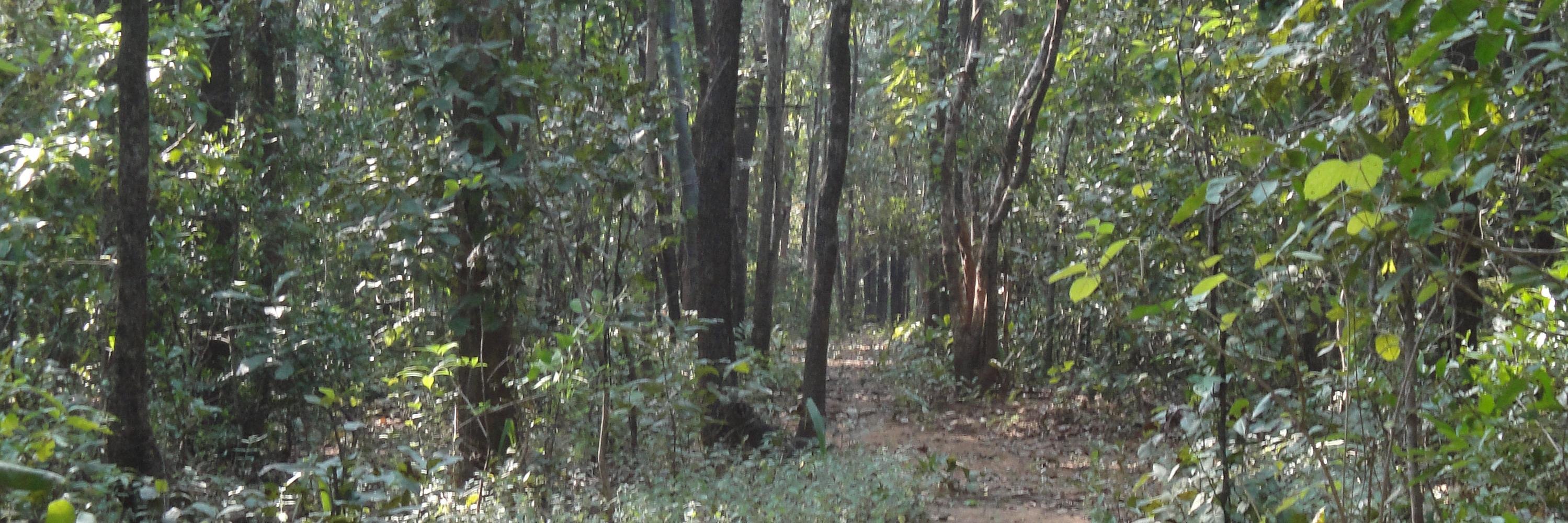 VanashreeSandip's profile banner image