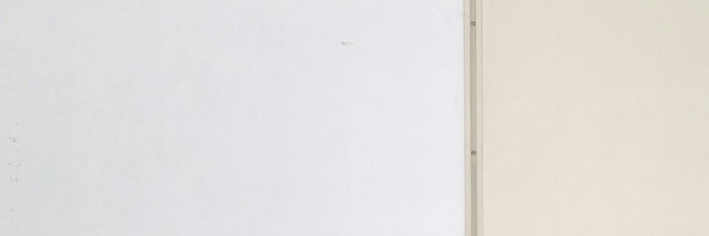 Sylvia Lim banner