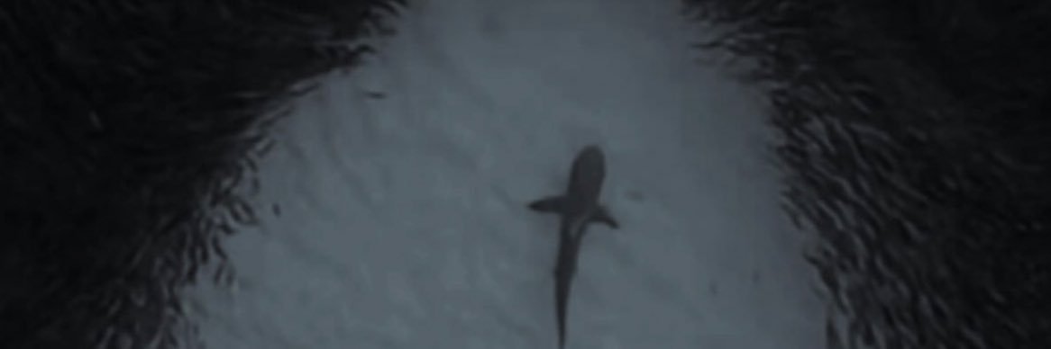 daktigerrr's profile banner image
