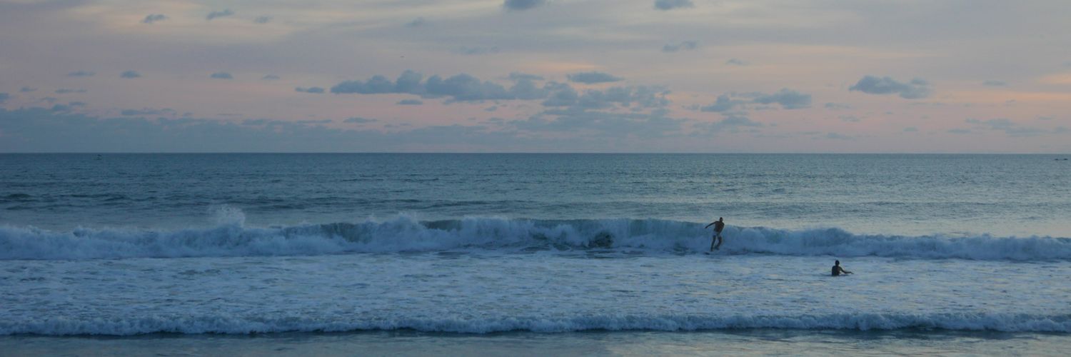 Miesjell's profile banner image