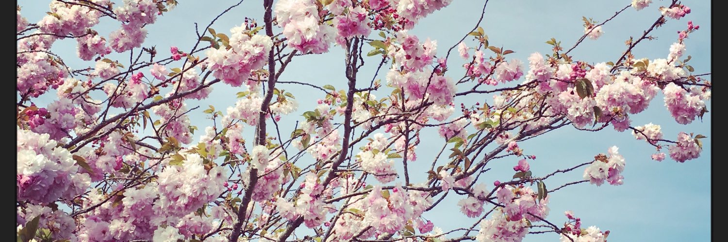 ✨Georgina Rayment✨ banner