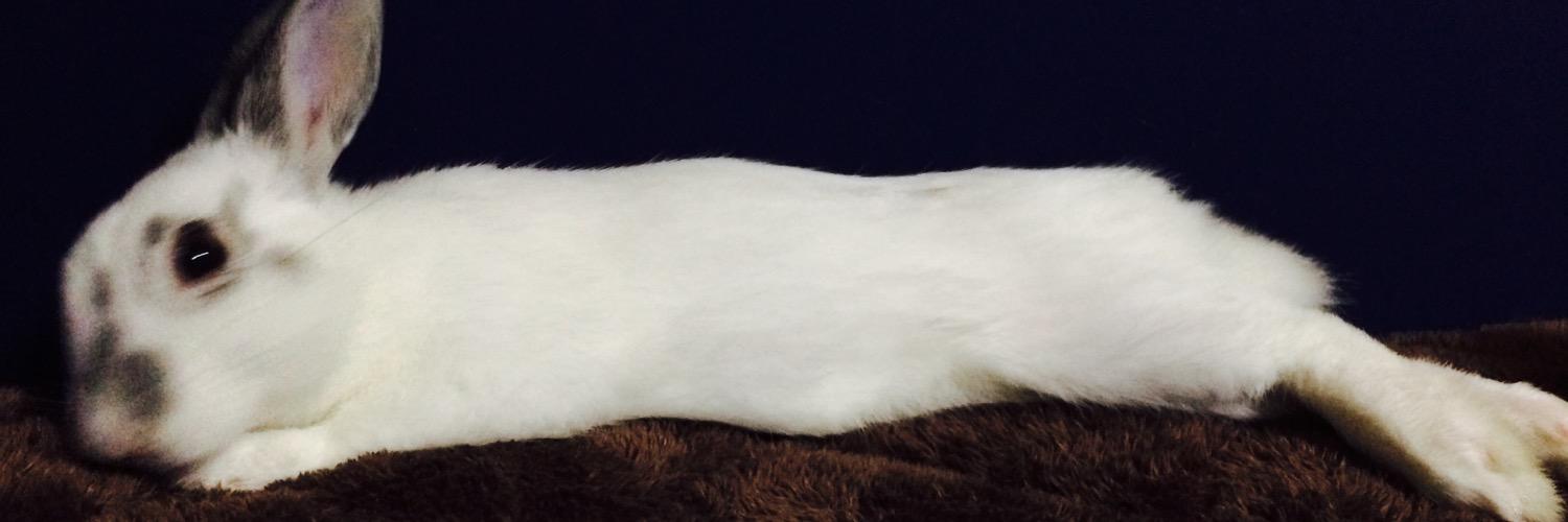 FxxkKt's profile banner image