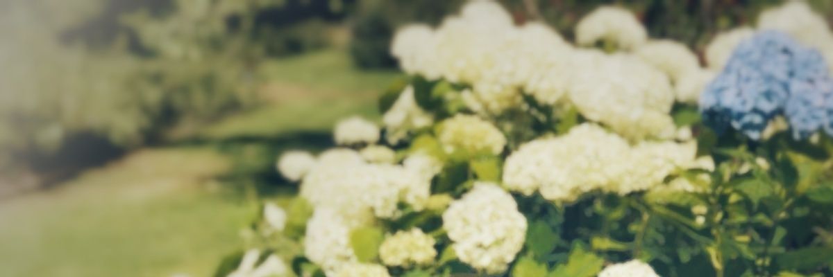 MelissaMaxter's profile banner image