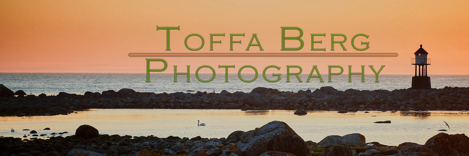 studiotoffa's profile banner image