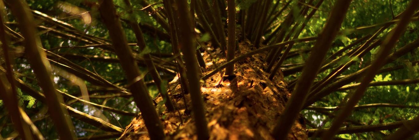 Jorge Bastida banner