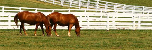 HFMA Kentucky banner