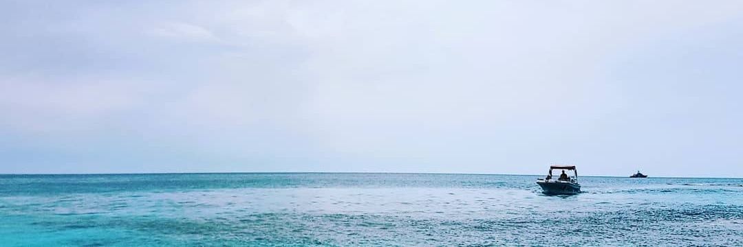 SeesInterludes's profile banner image