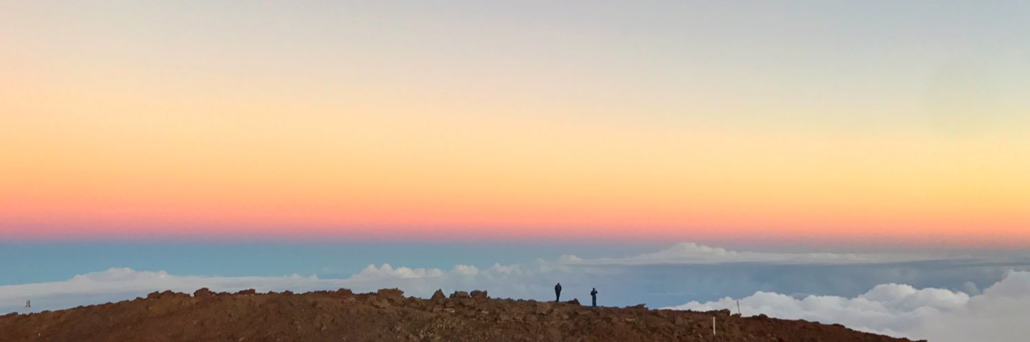 Brittany McNicholas banner