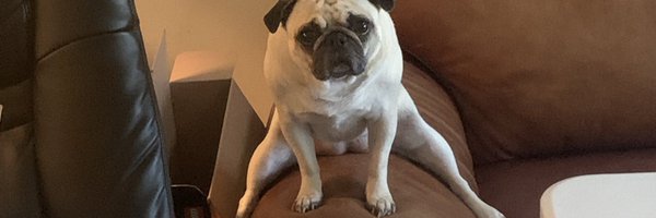 SonHuntr Profile Banner