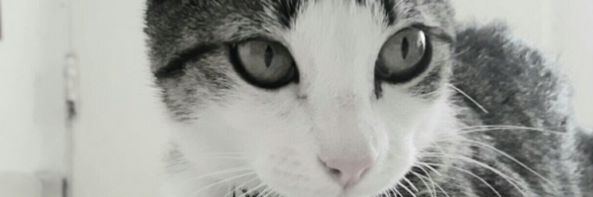 Nati_itati's profile banner image