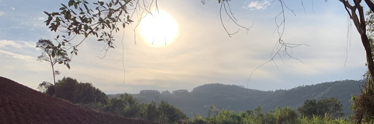 manda_froehlich's profile banner image