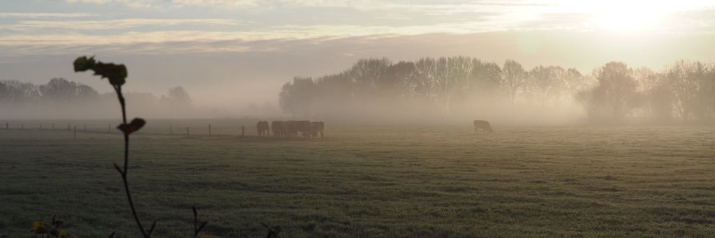 TomBloo's profile banner image