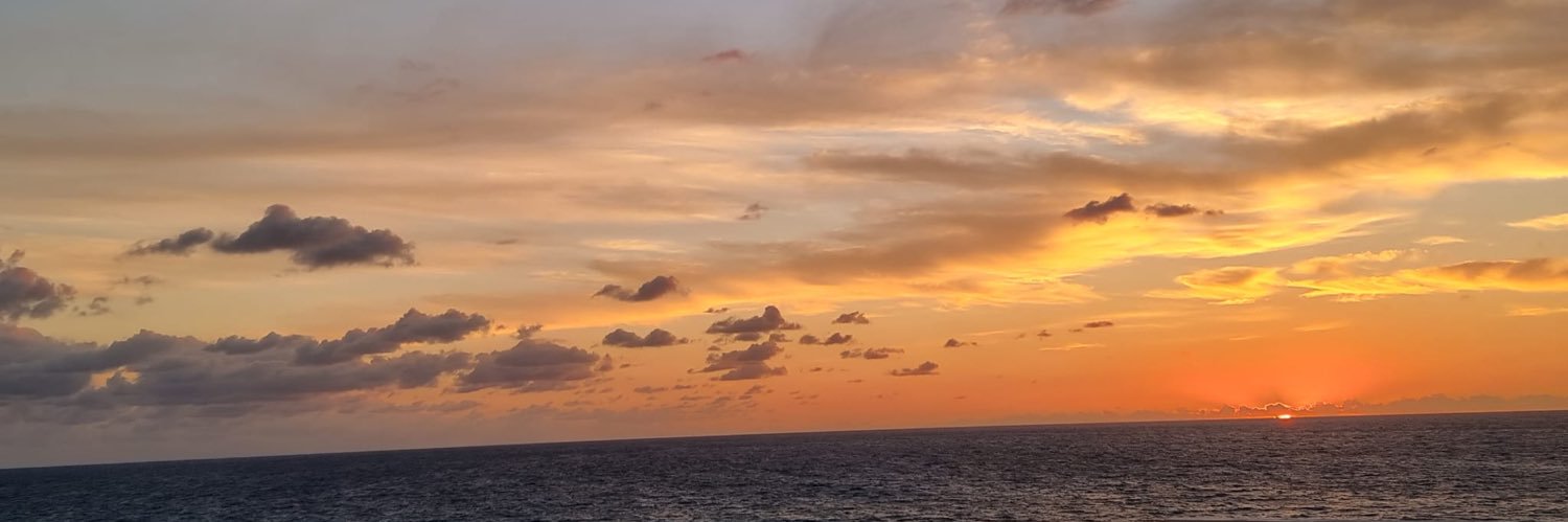 Dr Anne Coufopoulos banner