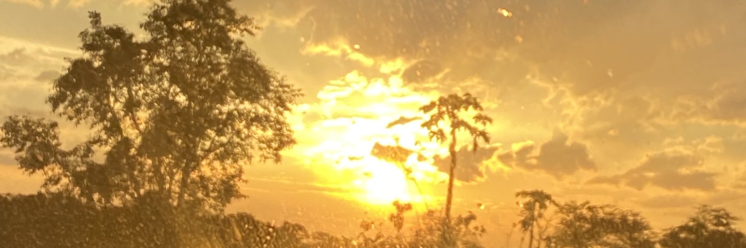 sahhffroes's profile banner image