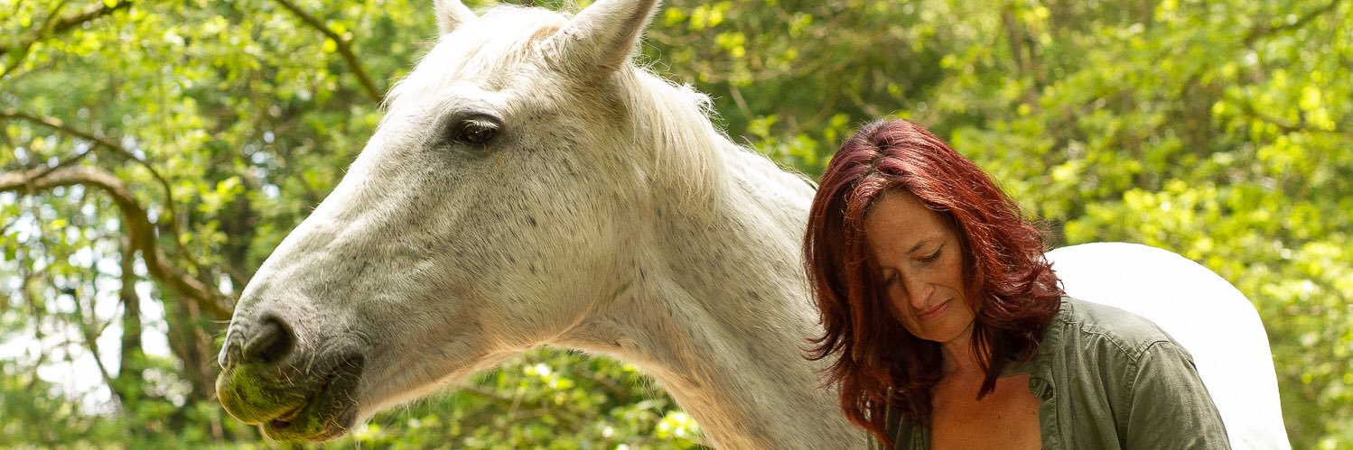 MyAnimalMatters's profile banner image